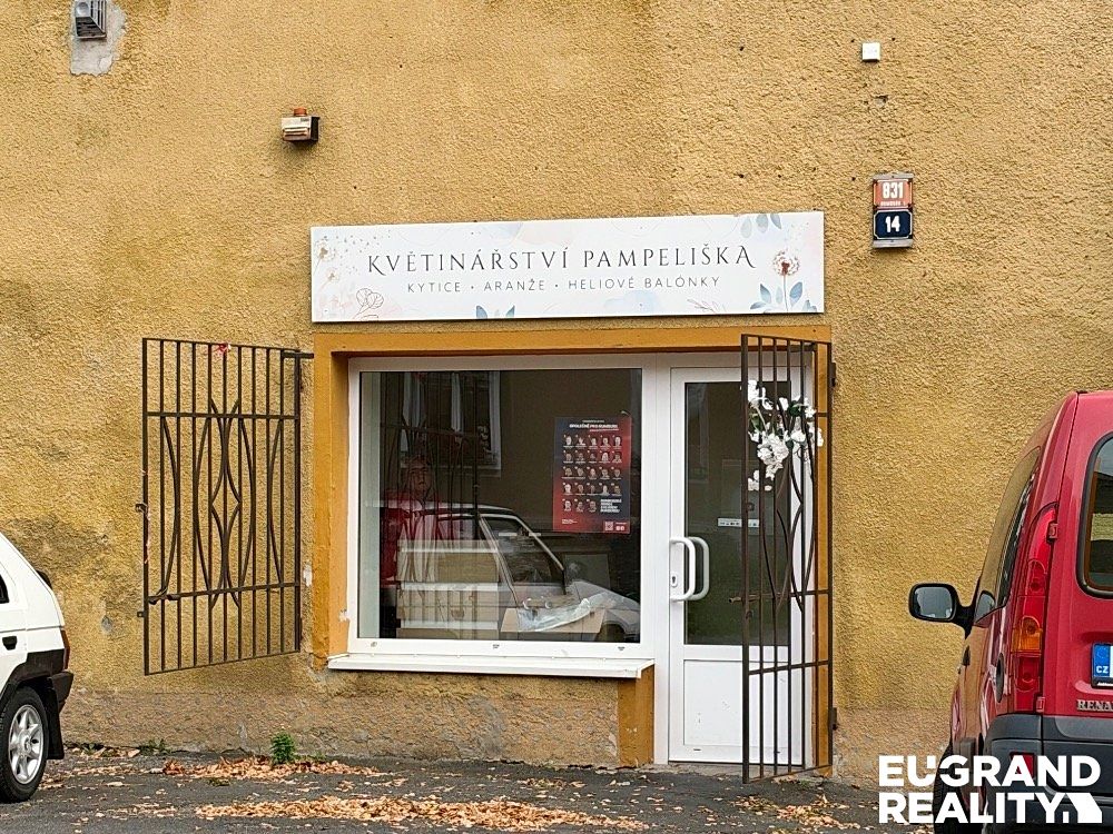 Pronájem obchodního prostoru 55 m²