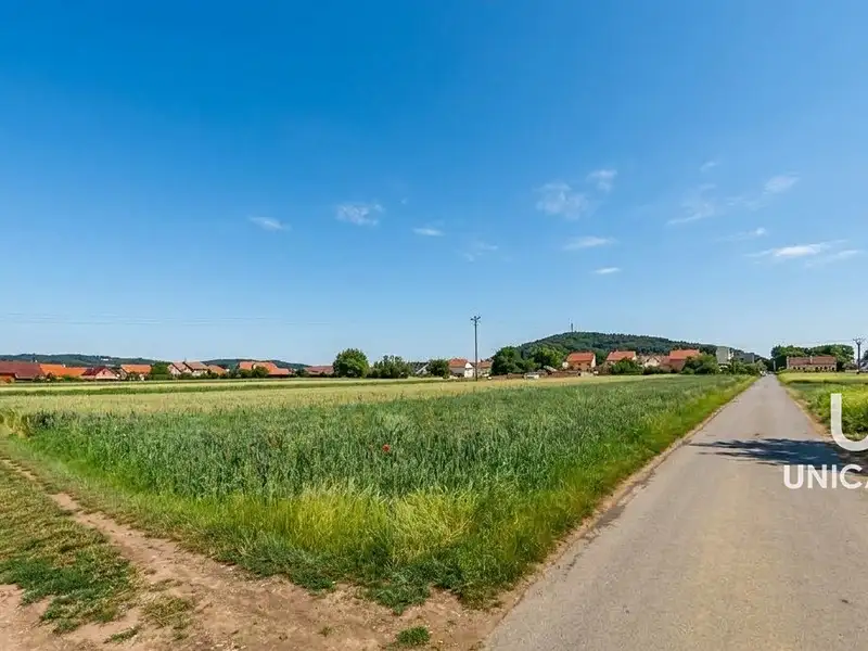 Prodej stavebního pozemku 2596 m², Drásov – náhled fotky 1