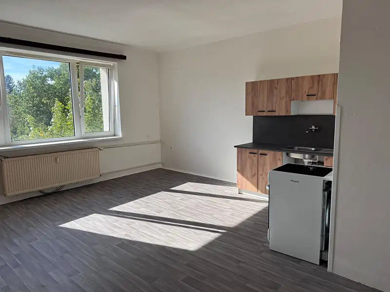 Prodej bytu 1+kk 33 m², Zruč nad Sázavou – náhled fotky 1