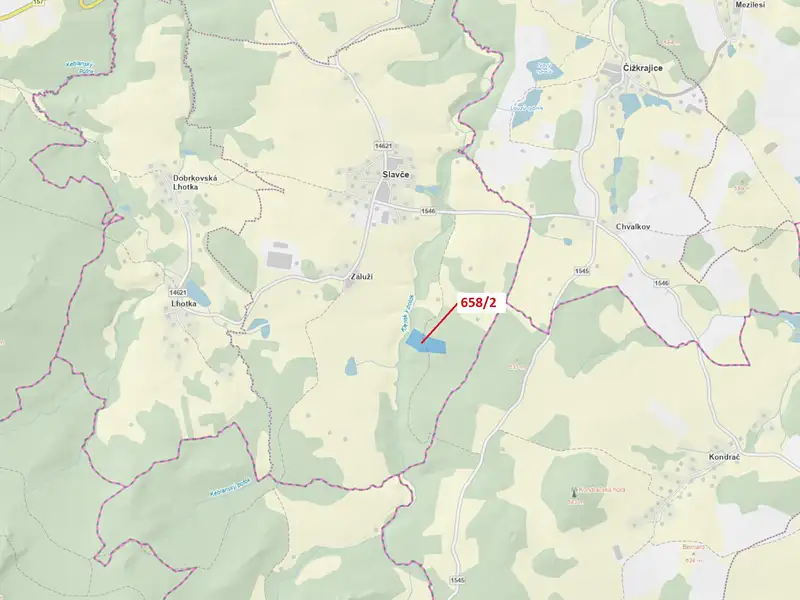 Dražba lesa 26622 m², Slavče – náhled fotky 1