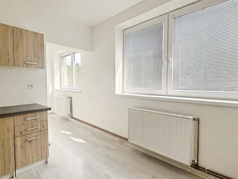 Pronájem bytu 1+1 35 m², Hostomice – náhled fotky 1
