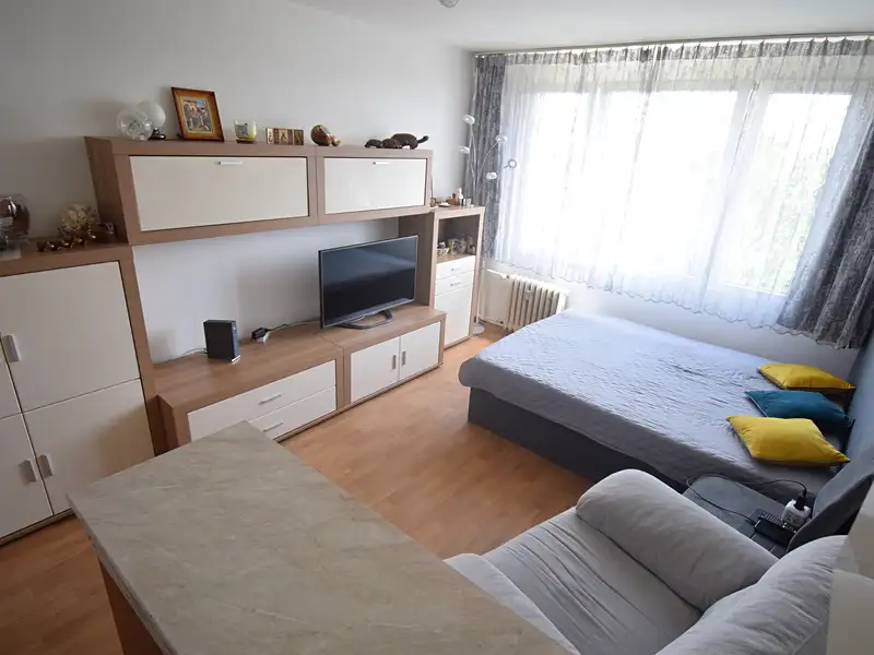 Prodej bytu 1+kk 24 m², Praha – náhled fotky 1