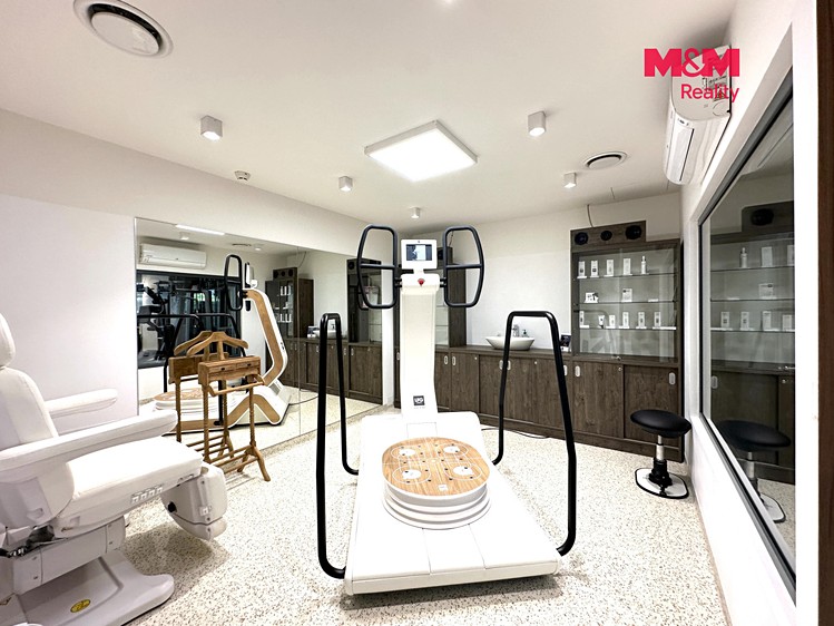Prodej komerčního prostoru, 276 m² (4 z 13)