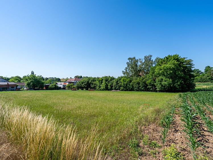 Grundstück zum Kauf, 1.506 m² (6 von 11)