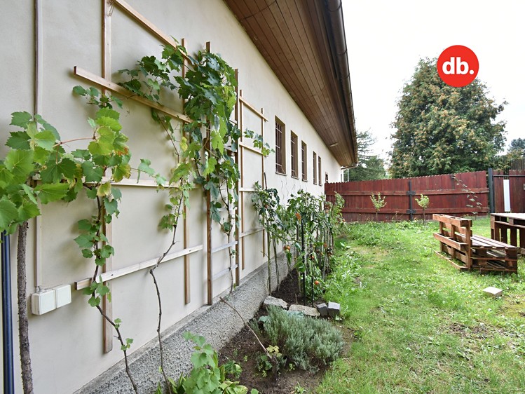 Haus zum Kauf, 170 m² (16 von 17)