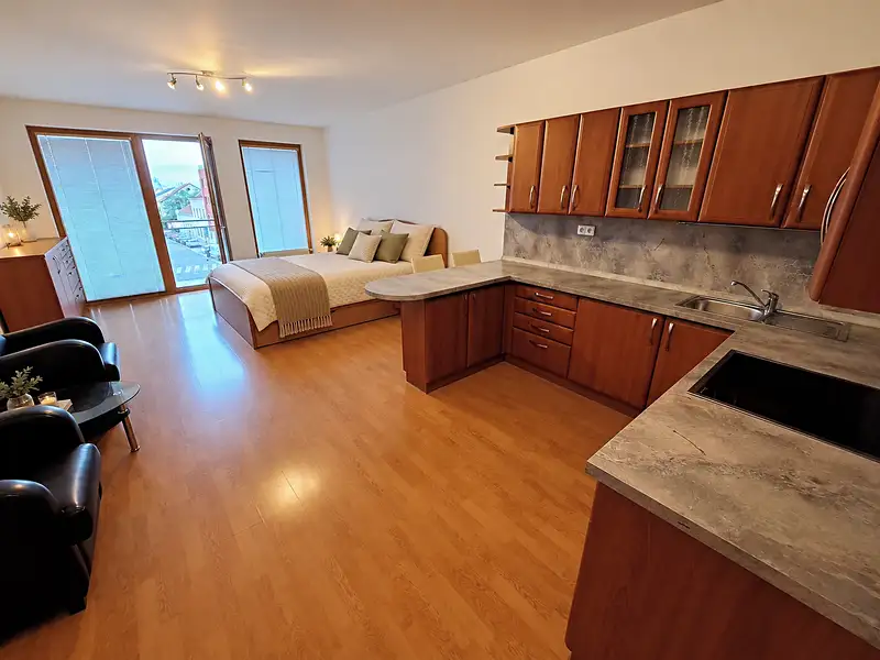 Prodej bytu 1+kk 44 m², Praha – náhled fotky 2