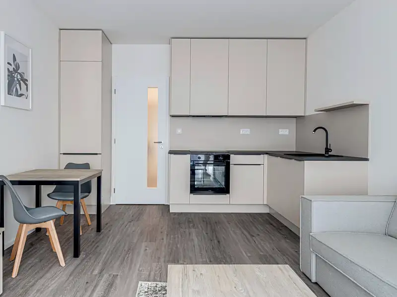 Pronájem bytu 1+kk 30 m², Praha – náhled fotky 3