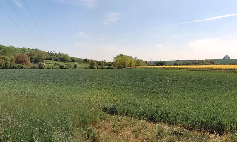 Prodej pole 11949 m², Zdětín – náhled fotky 2