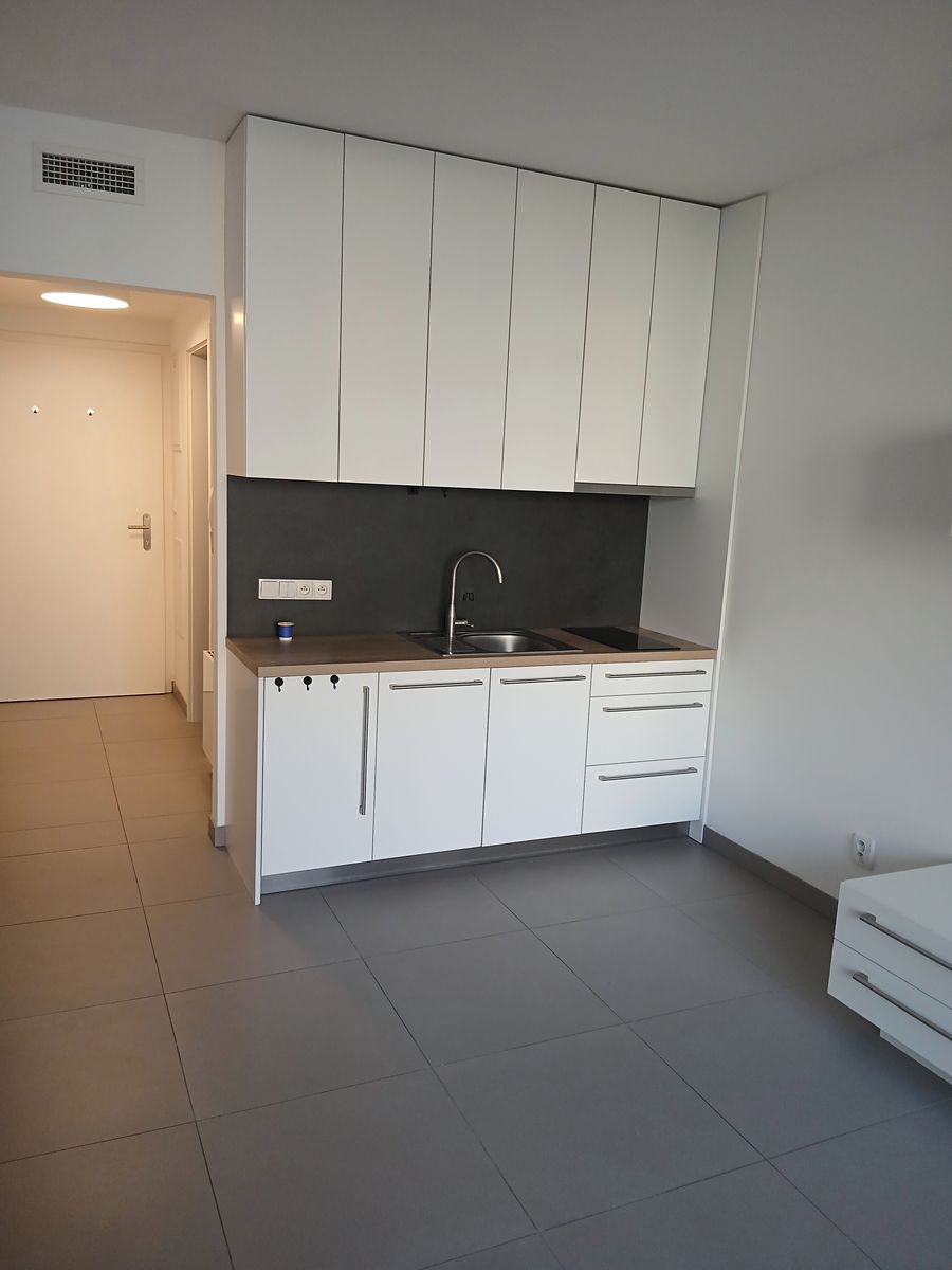 Pronájem bytu 1+kk 25 m² – fotografie 3