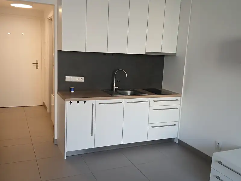 Pronájem bytu 1+kk 25 m², Praha – náhled fotky 3