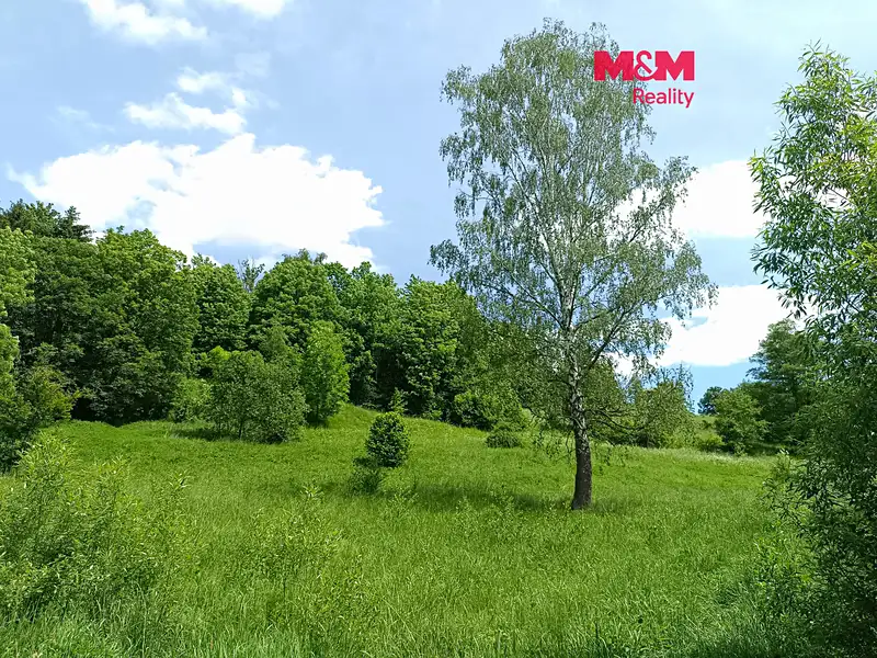 Prodej stavebního pozemku 3276 m², Božanov – náhled fotky 1