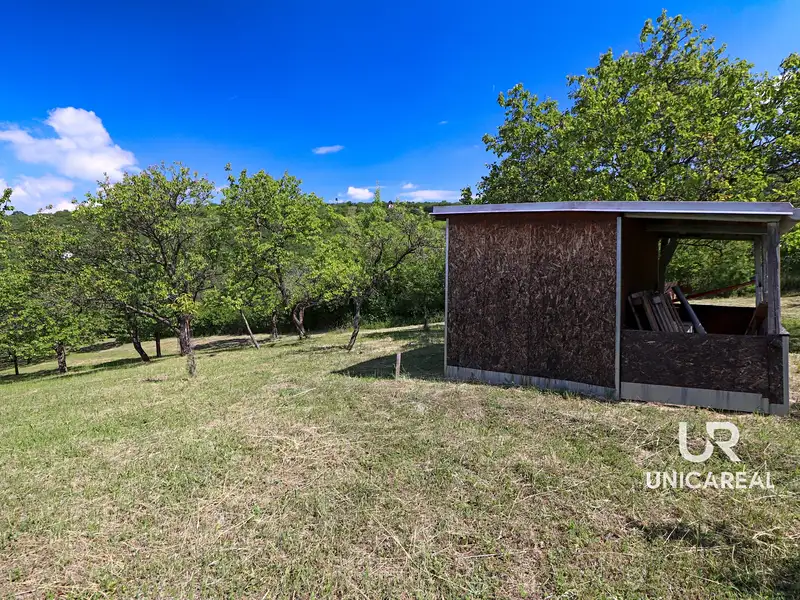 Prodej sadu, vinice 3851 m², Židlochovice – náhled fotky 3
