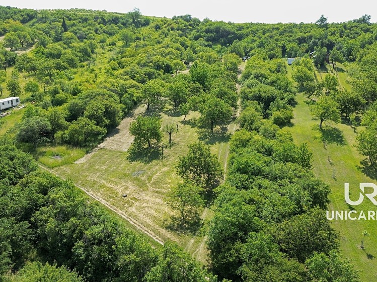 Prodej pozemku, 3 851 m² (2 z 15)