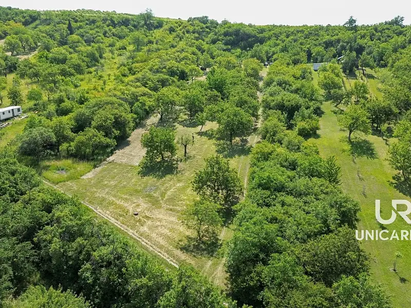Prodej sadu, vinice 3851 m², Židlochovice – náhled fotky 2