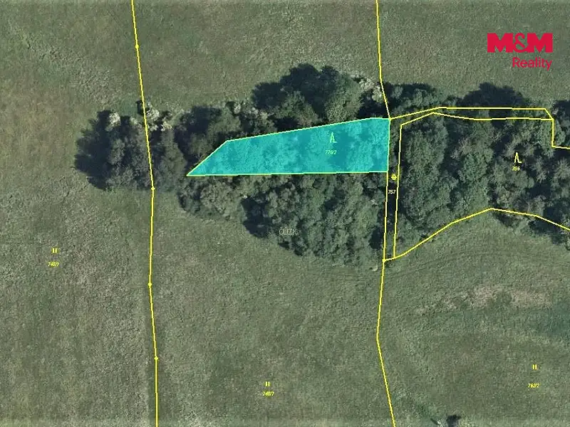 Prodej lesa 725 m², Velká Bukovina – náhled fotky 2