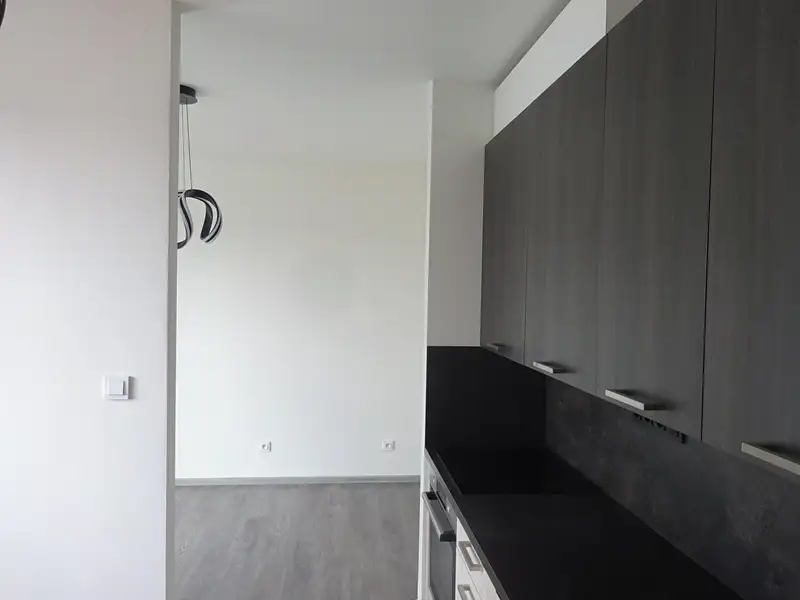 Pronájem bytu 1+kk 28 m², Veselí nad Moravou – náhled fotky 2