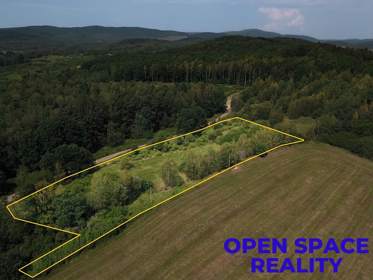 Prodej pozemku 8704 m² – fotografie 4