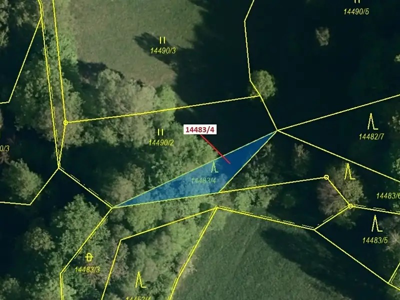 Dražba lesa 173 m², Hovězí – náhled fotky 2