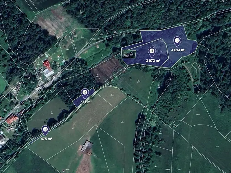 Prodej louky 8735 m², Radkov – náhled fotky 1
