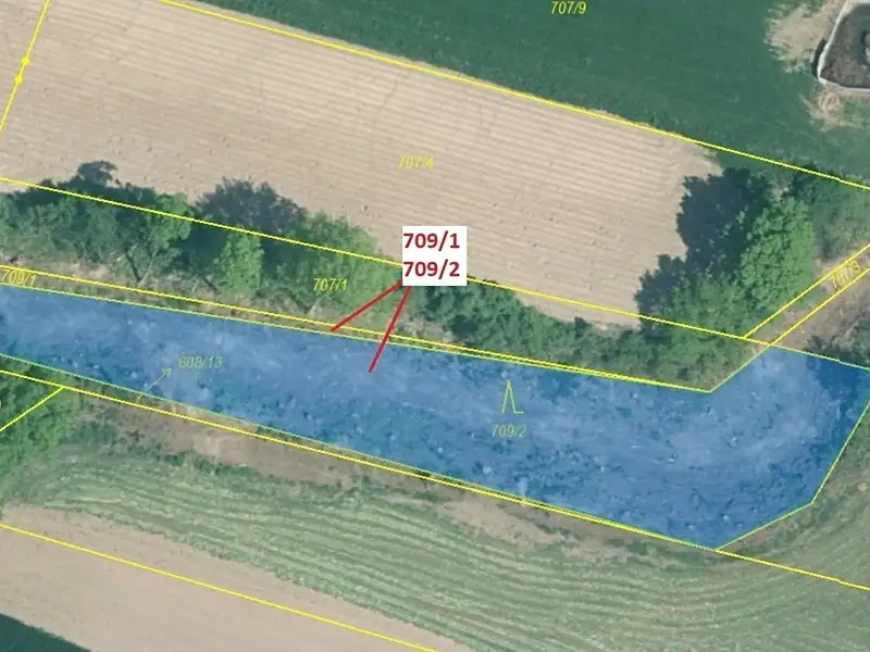 Dražba lesa 1823 m², Osek – náhled fotky 2