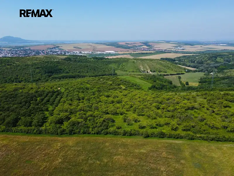 Prodej sadu, vinice 3780 m², Hustopeče – náhled fotky 3