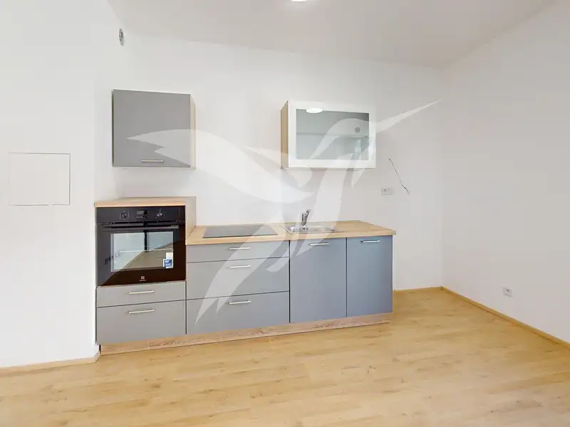 Pronájem bytu 1+kk 30 m², Plzeň – náhled fotky 1