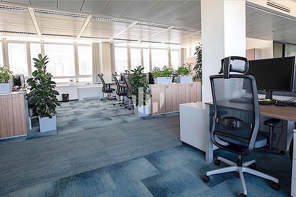 Pronájem kanceláře 460 m² – fotografie 3