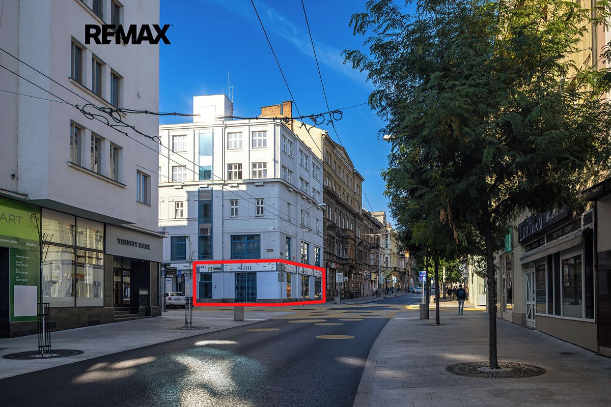 Pronájem obchodního prostoru 210 m² – fotografie 2