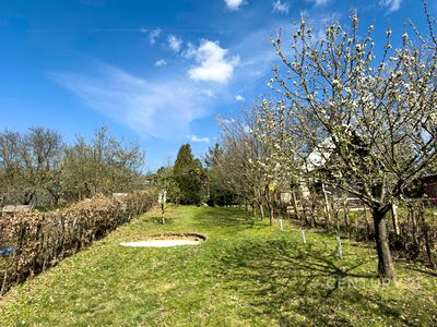 Prodej zahrady 380 m²