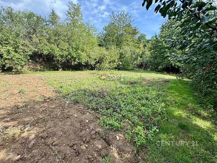 Prodej pozemku, 1 546 m² (4 z 9)