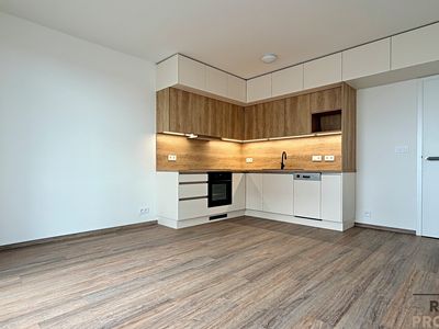 Pronájem bytu 2+kk 51 m²