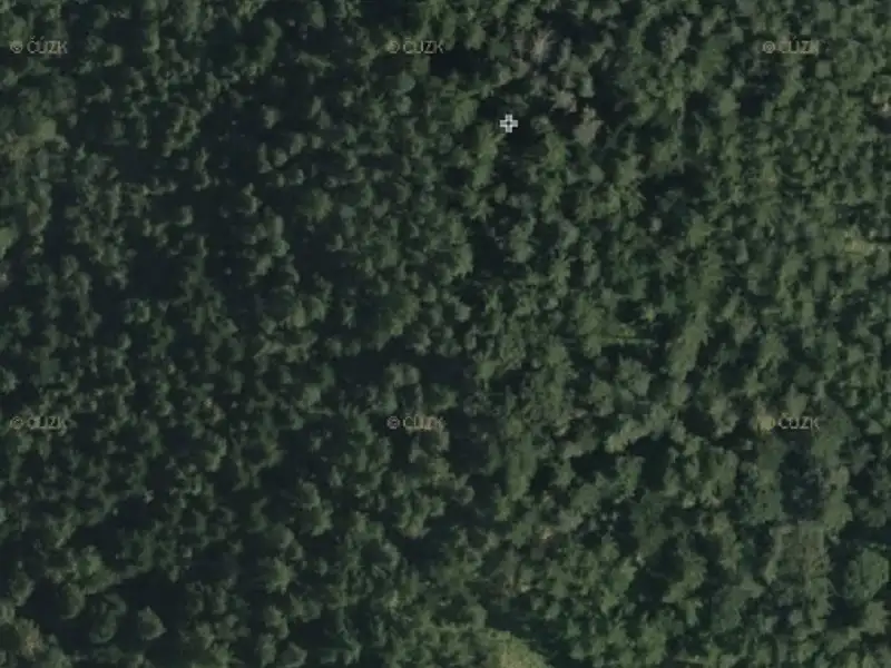 Prodej lesa 5868 m², Bystřice – náhled fotky 3