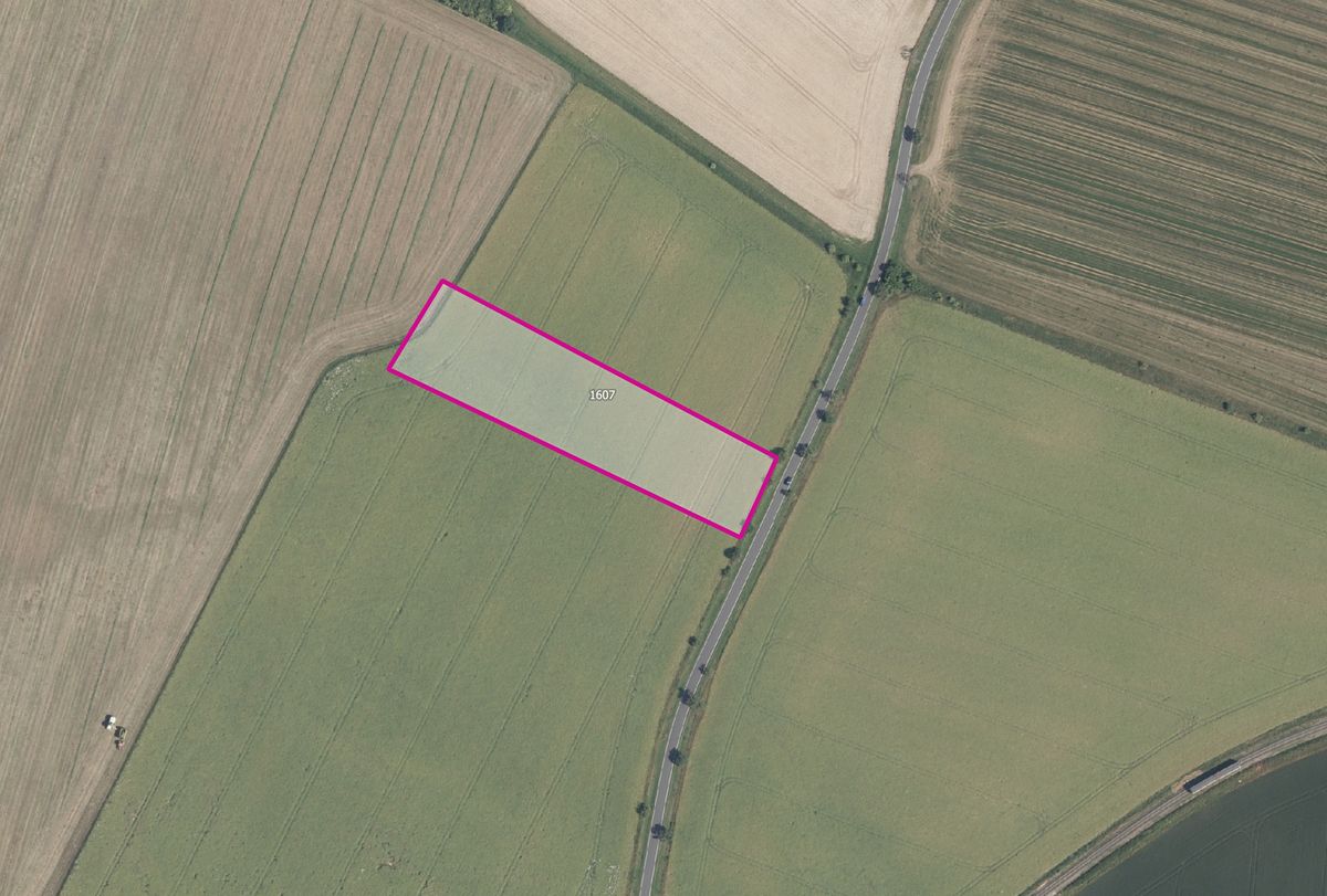 Prodej pole 4388 m² – fotografie 2