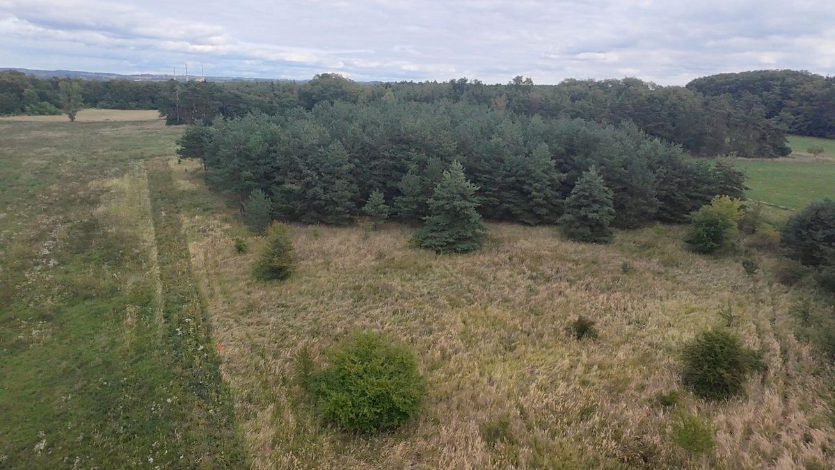 Prodej pozemku 15382 m²