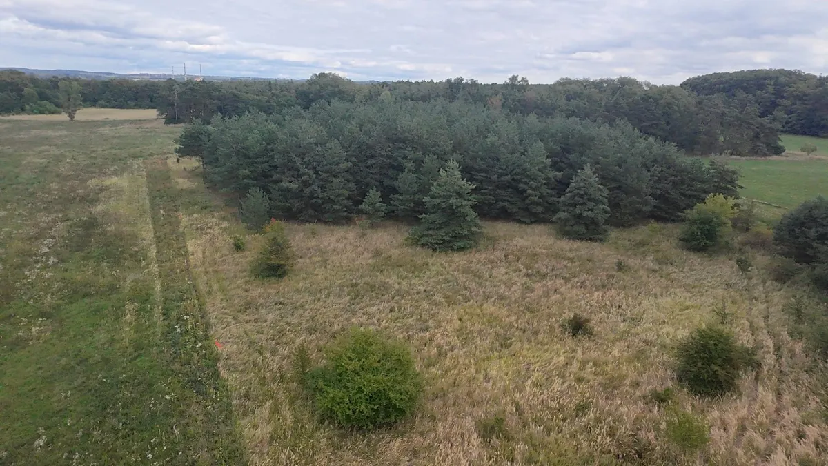 Prodej pozemku 15382 m²