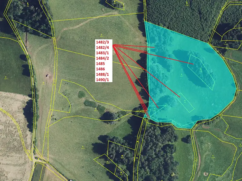 Dražba louky 22765 m², Jedlí – náhled fotky 2