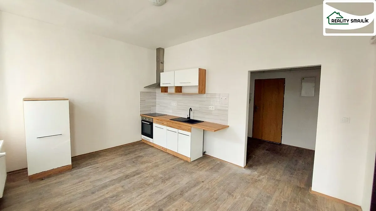 Pronájem bytu 1+1 45 m²