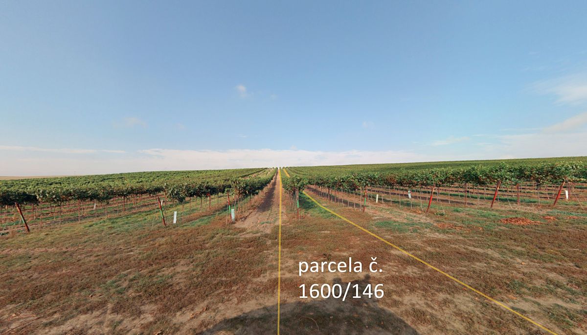 Prodej sadu, vinice 5465 m²