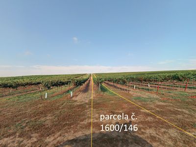 Prodej sadu, vinice 5465 m²