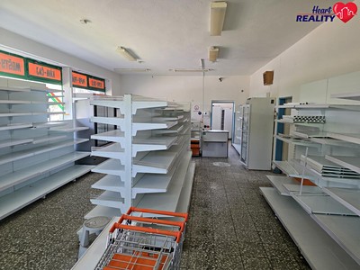 Gewerbefläche zur Miete, 258 m² (2 von 7)
