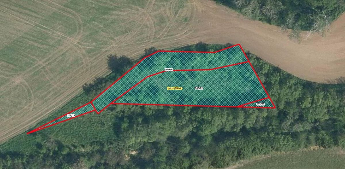 Prodej louky 1353 m², Horní Slivno – fotka 1 z 3