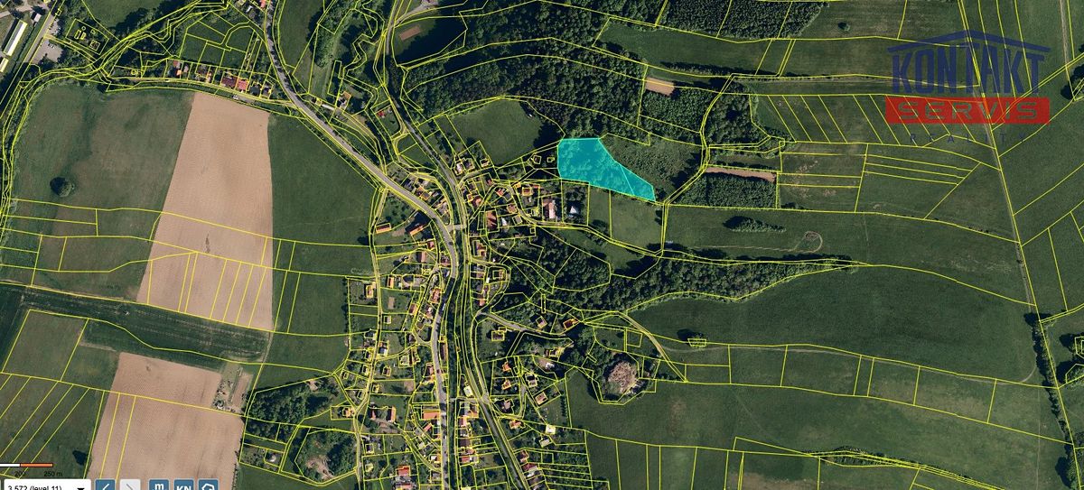 Prodej lesa 7376 m²