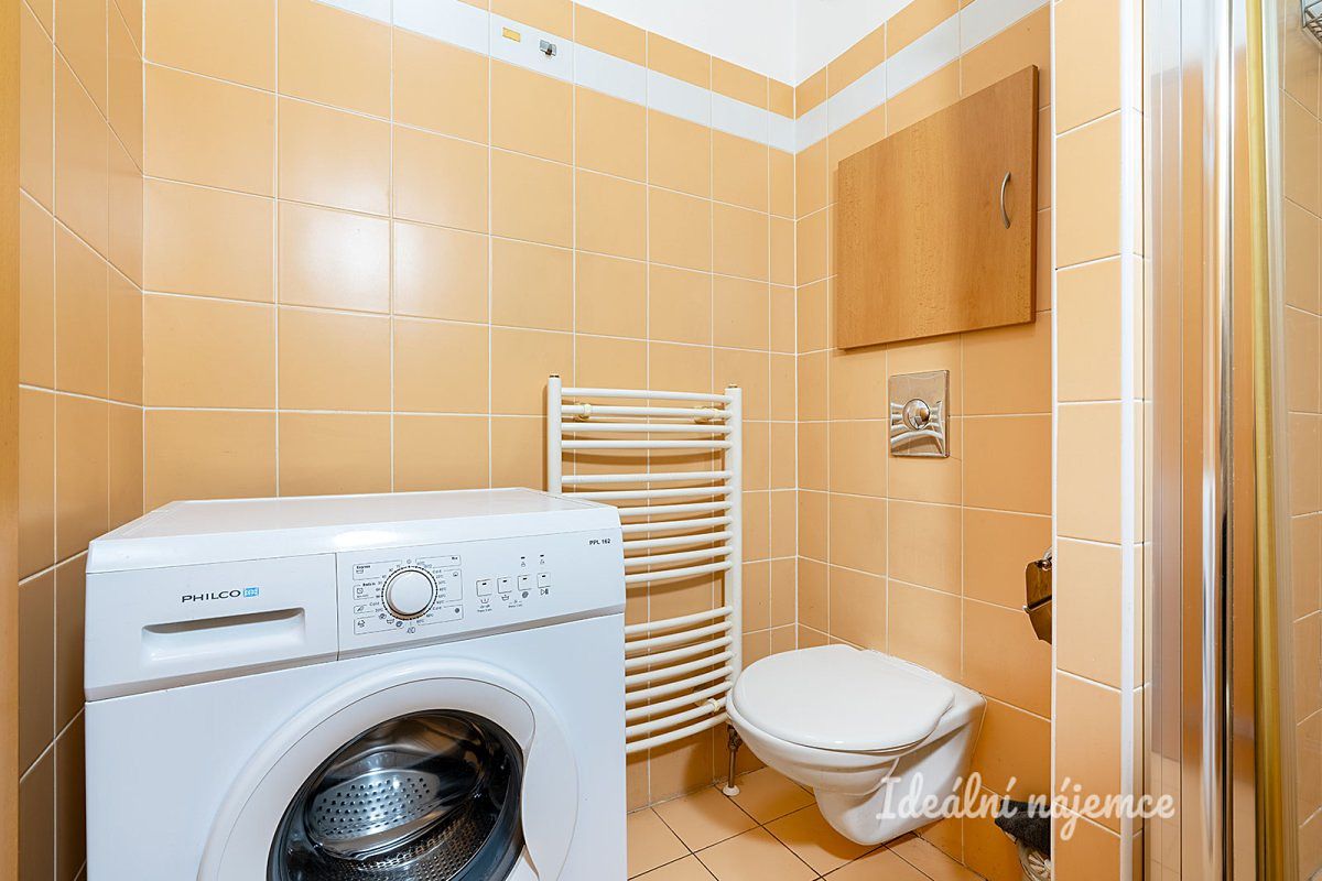 Pronájem bytu 1+kk 32 m² – fotografie 5