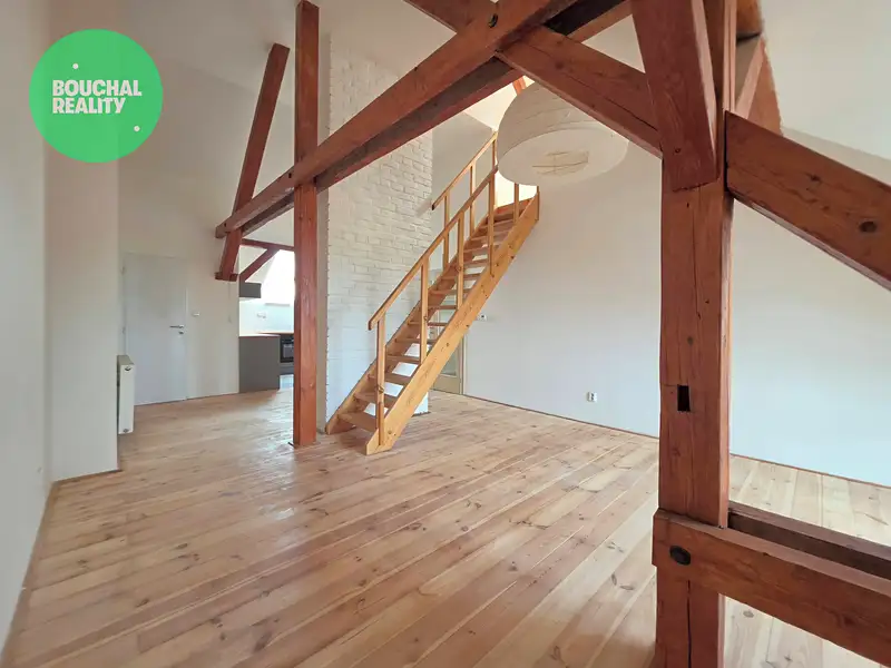 Pronájem bytu 4+kk 105 m², Plzeň – náhled fotky 1