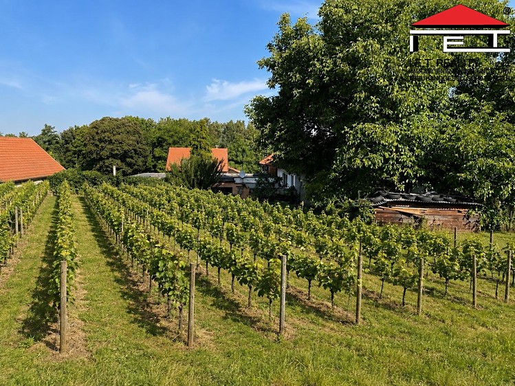 Prodej komerčního prostoru, 250 m² (22 z 23)