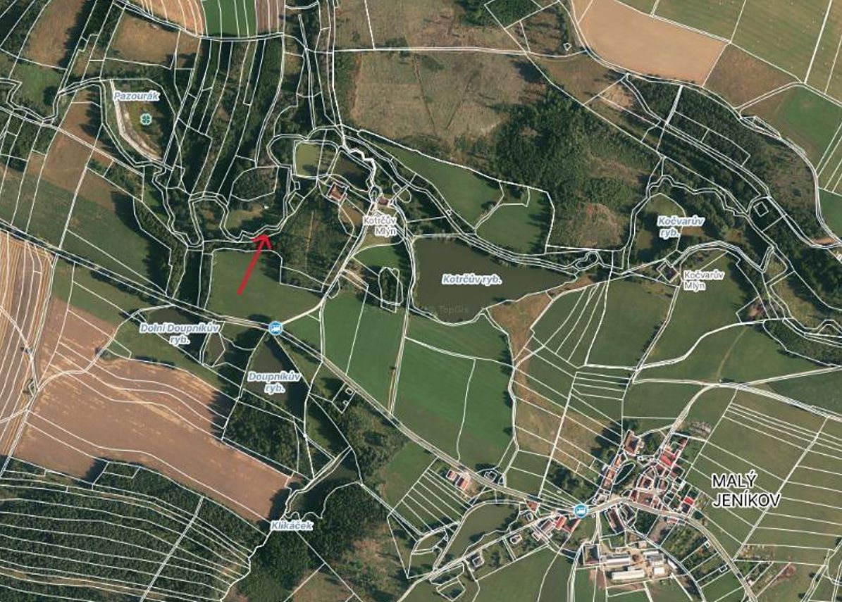 Prodej lesa 881 m² – fotografie 4