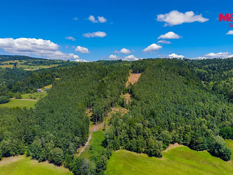 Prodej lesa 22447 m², Bílá – náhled fotky 2