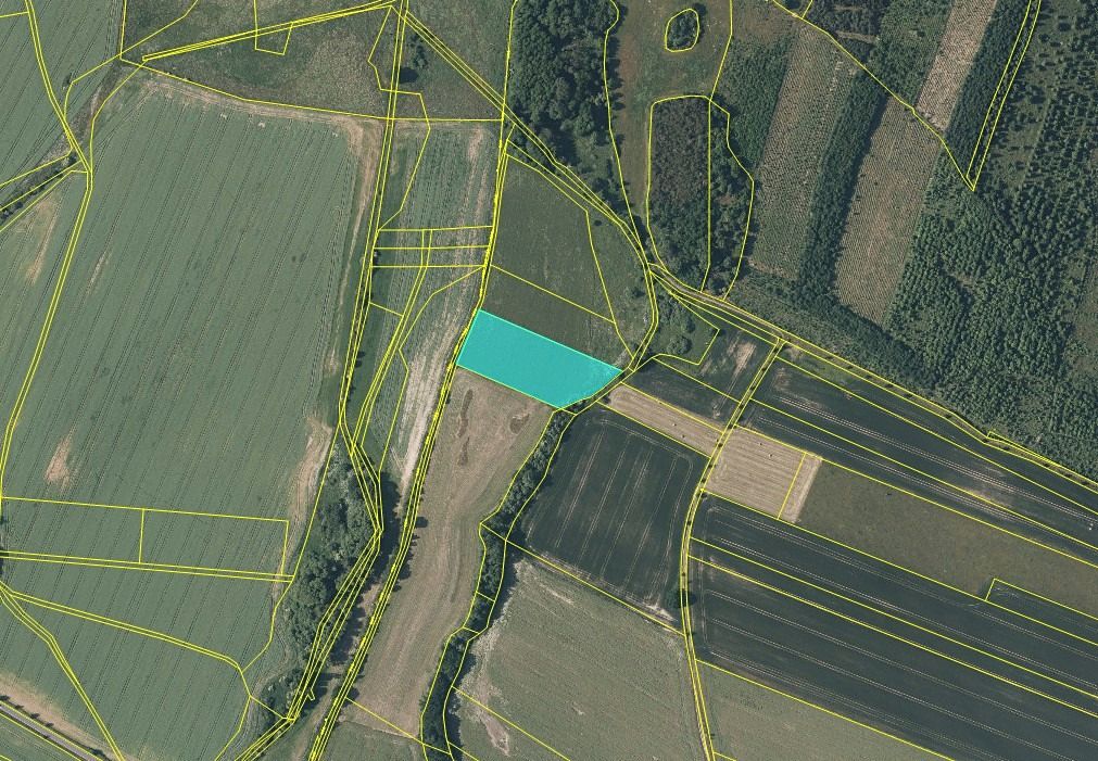Prodej pole 6880 m² – fotografie 2