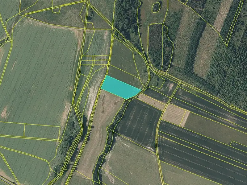 Prodej pole 6880 m², Zavidov – náhled fotky 2
