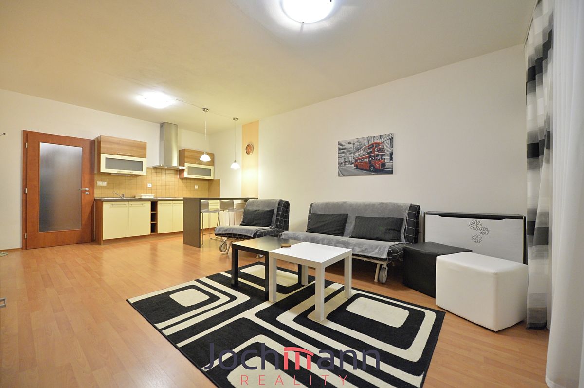 Pronájem bytu 1+kk 43 m² – fotografie 3
